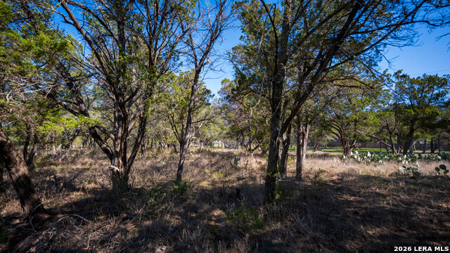 Image 10 of 48 For 00 Park Lane