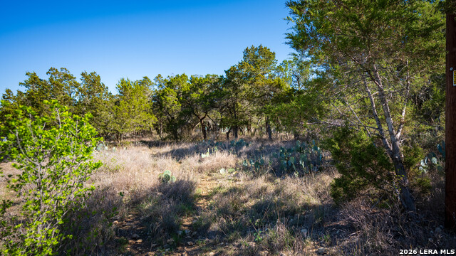 Image 12 of 48 For 00 Park Lane