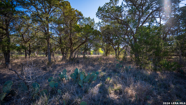 Image 13 of 48 For 00 Park Lane