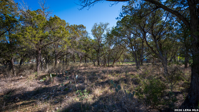 Image 14 of 48 For 00 Park Lane