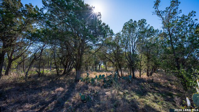 Image 15 of 48 For 00 Park Lane