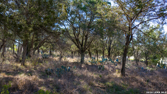 Image 32 of 48 For 00 Park Lane