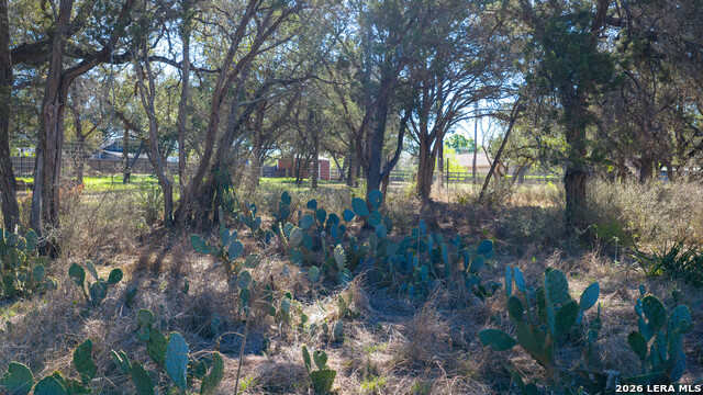 Image 33 of 48 For 00 Park Lane