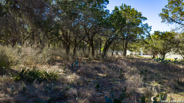 Image 34 of 48 For 00 Park Lane