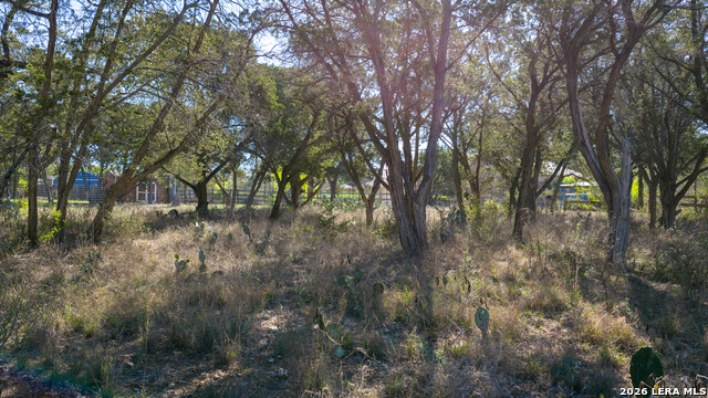 Image 37 of 48 For 00 Park Lane