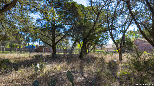 Image 38 of 48 For 00 Park Lane