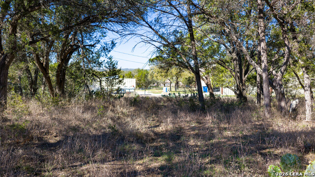 Image 39 of 48 For 00 Park Lane