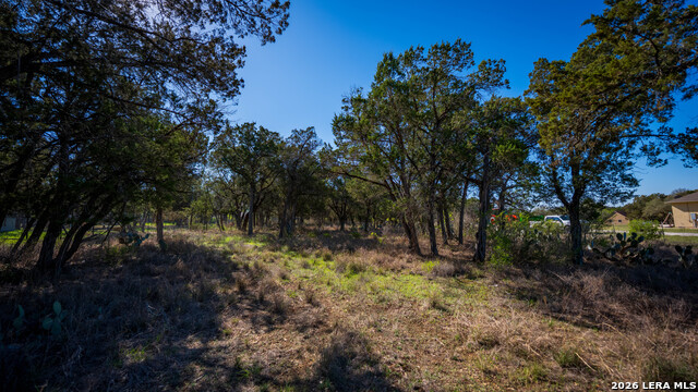 Image 4 of 48 For 00 Park Lane