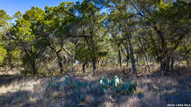 Image 40 of 48 For 00 Park Lane