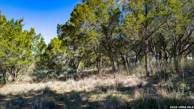 Image 41 of 48 For 00 Park Lane