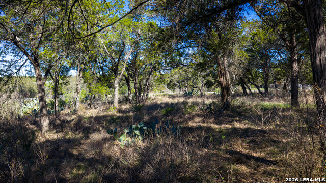 Image 42 of 48 For 00 Park Lane