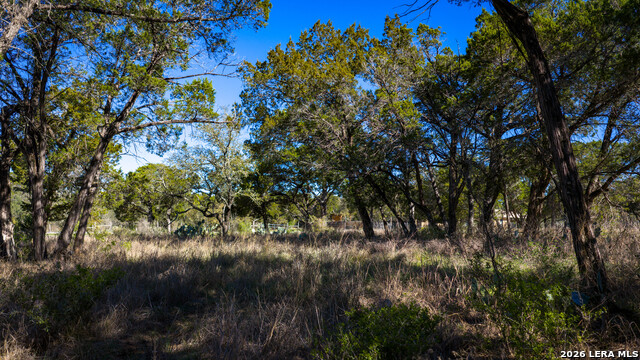 Image 43 of 48 For 00 Park Lane