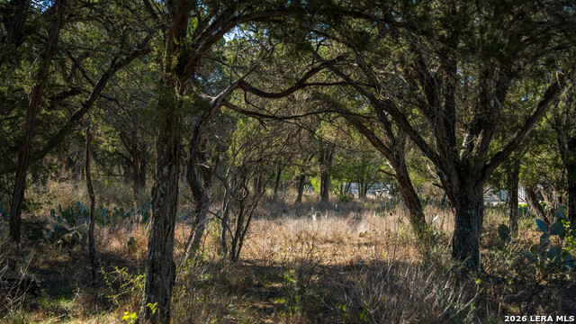 Image 47 of 48 For 00 Park Lane