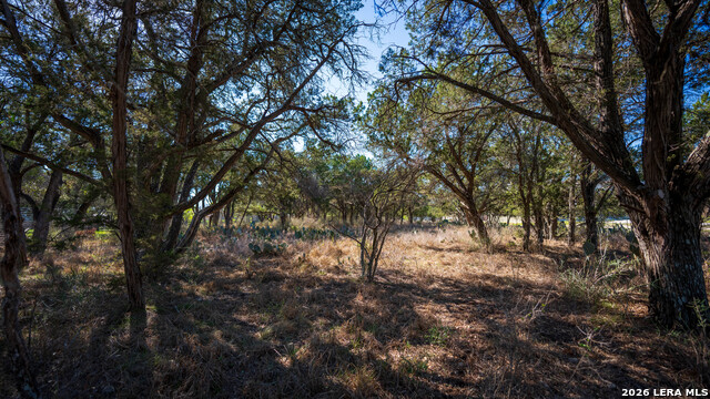 Image 5 of 48 For 00 Park Lane