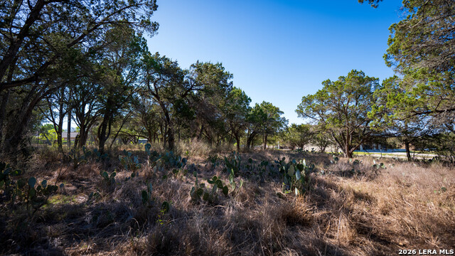 Image 6 of 48 For 00 Park Lane