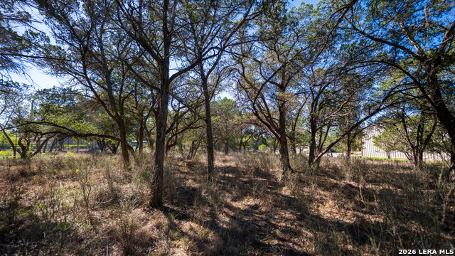 Image 7 of 48 For 00 Park Lane