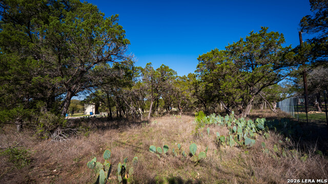 Image 8 of 48 For 00 Park Lane