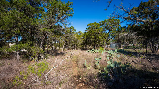 Image 9 of 48 For 00 Park Lane