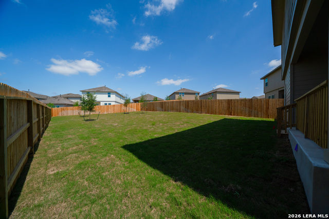 Image 19 of 21 For 227 American Robin