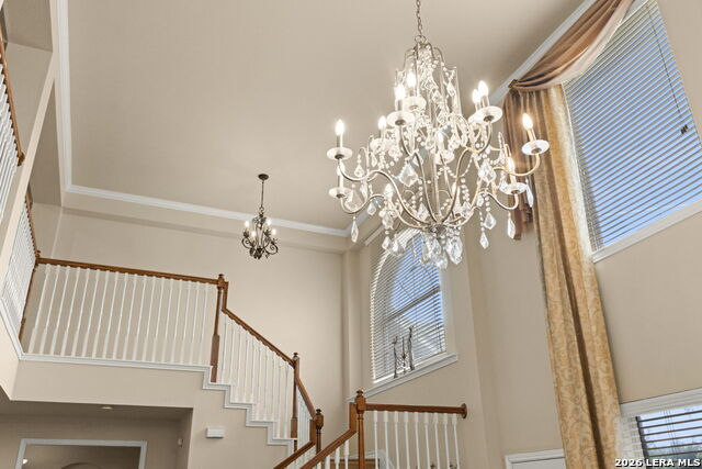 Image 12 of 53 For 38 Cellini  