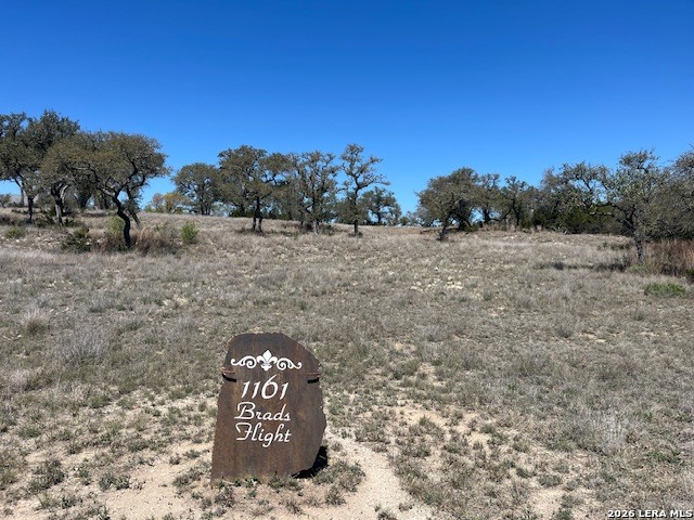 Details for 1161 Brads Flight, Canyon Lake, TX 78133