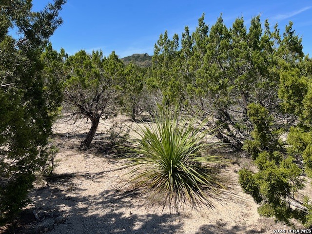 Image 3 of 11 For Tbd Lakepark