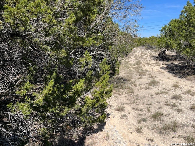 Image 8 of 11 For Tbd Lakepark