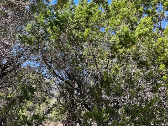 Image 9 of 11 For Tbd Lakepark