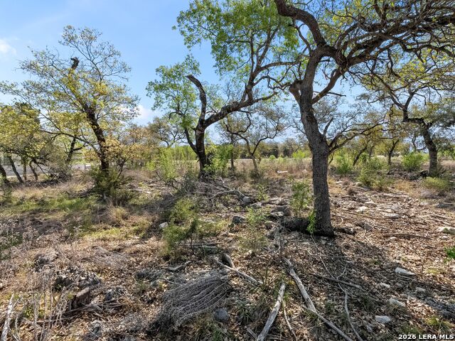 Image 14 of 34 For 1333 Powder Ridge