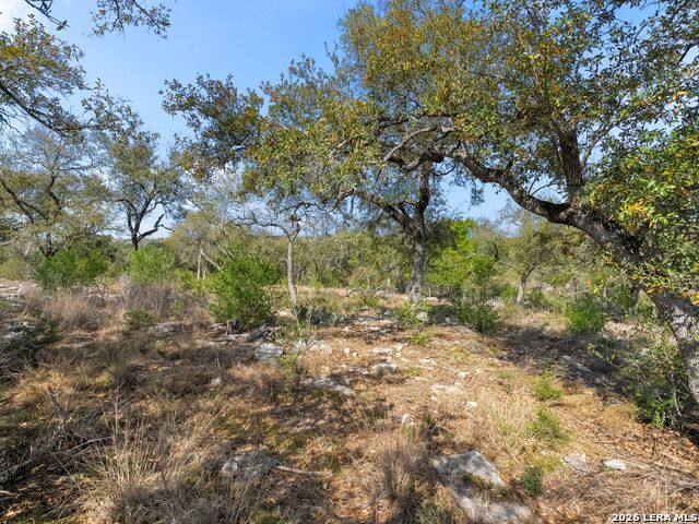 Image 7 of 34 For 1333 Powder Ridge