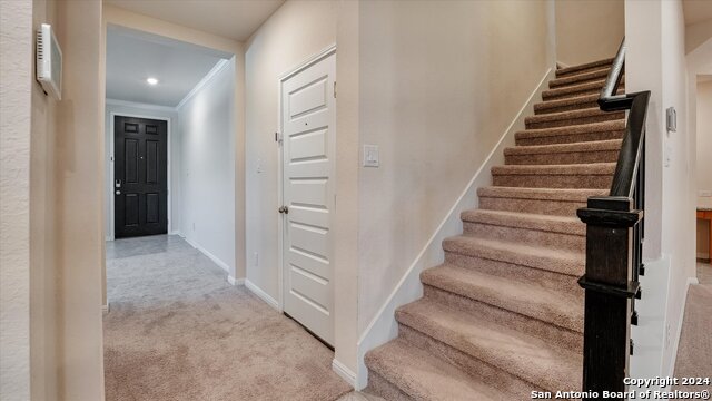 Image 15 of 38 For 2514 Castello Way