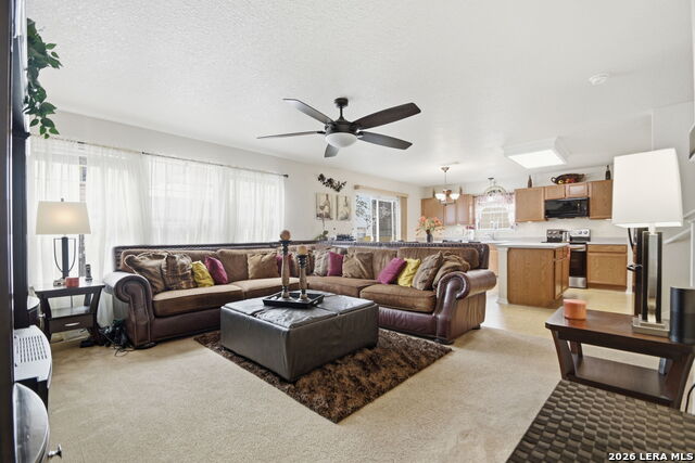 Image 10 of 28 For 87 Booker Palm