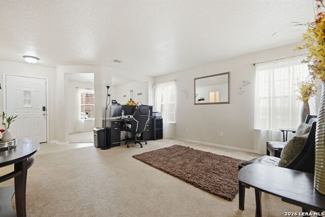 Image 6 of 28 For 87 Booker Palm