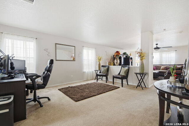 Image 8 of 28 For 87 Booker Palm