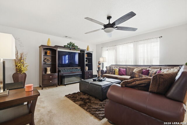 Image 9 of 28 For 87 Booker Palm