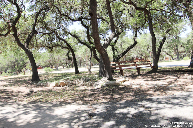 Image 3 of 14 For 12095 Park Road 37  C