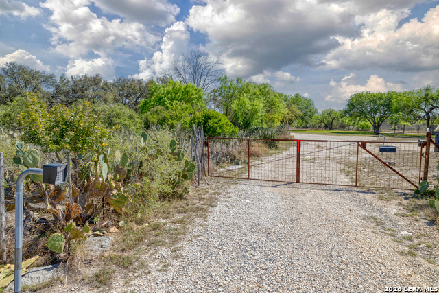 Image 31 of 53 For 160 Beavers  