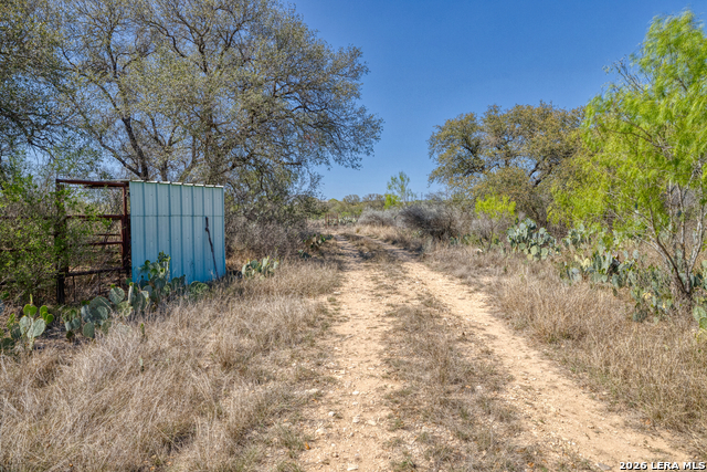 Image 32 of 53 For 160 Beavers  