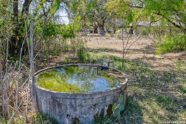 Image 35 of 53 For 160 Beavers  