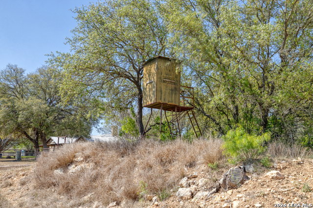 Image 37 of 53 For 160 Beavers  