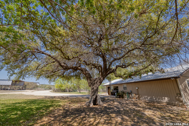 Image 45 of 53 For 160 Beavers  