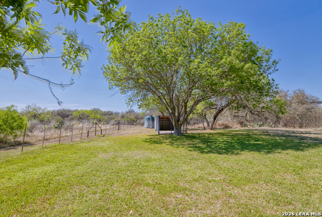 Image 47 of 53 For 160 Beavers  