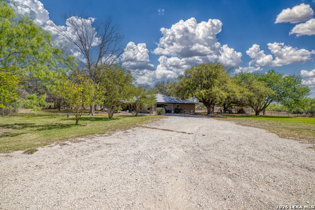 Image 51 of 53 For 160 Beavers  