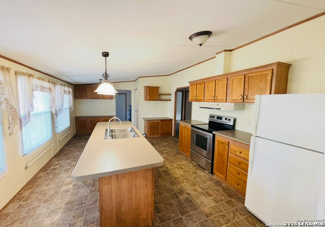 Image 3 of 9 For 1118 Wild Persimmon