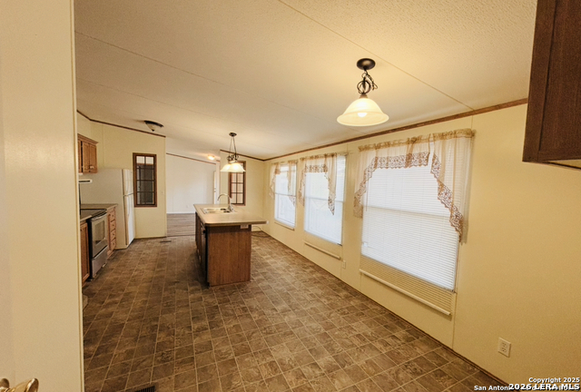 Image 4 of 9 For 1118 Wild Persimmon