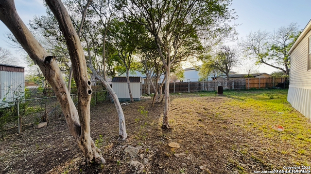 Image 8 of 9 For 1118 Wild Persimmon