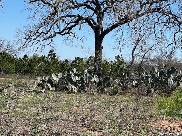 Image 13 of 20 For 6611 Fm 1681