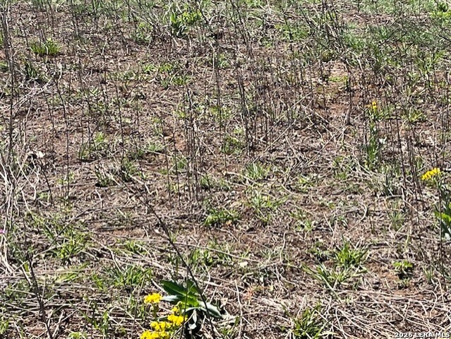 Image 14 of 20 For 6611 Fm 1681