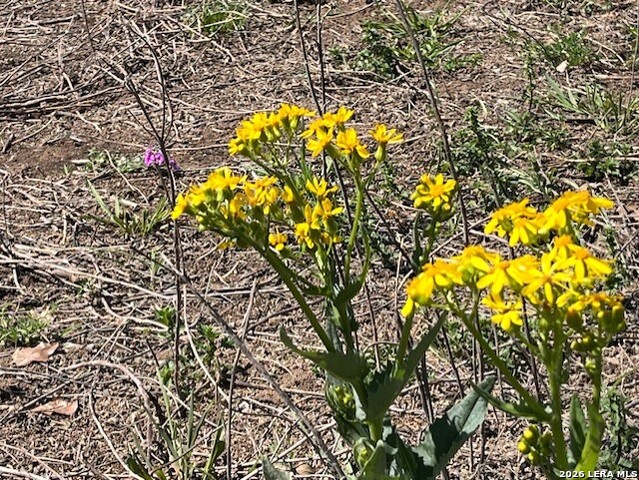 Image 17 of 20 For 6611 Fm 1681