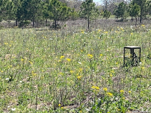 Image 3 of 20 For 6611 Fm 1681